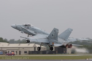 RIAT 2009 - RAF Fairford. Selection from all days.