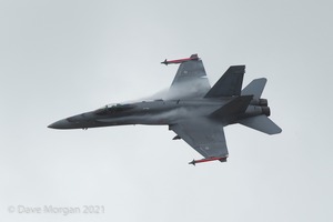 RIAT 2015 - Show Day - Friday 17th July