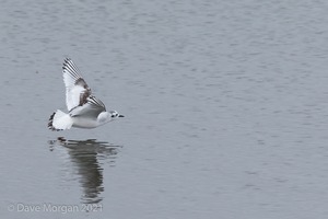 Cornish Trip. March 2017