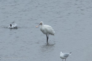 Cornish Trip. March 2017