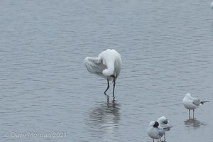 Cornish Trip. March 2017