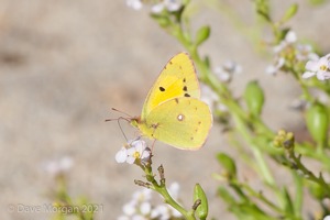 Cornish Trip. September 2014