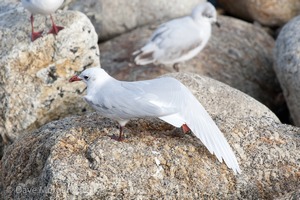 Cornish Trip. September 2014