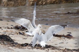 Cornish Trip. September 2014