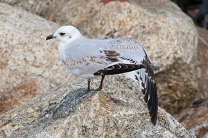 Cornish Trip. September 2014