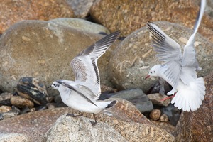 Cornish Trip. September 2014