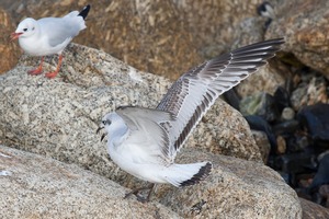Cornish Trip. September 2014
