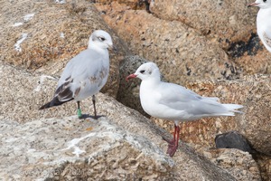 Cornish Trip. September 2014