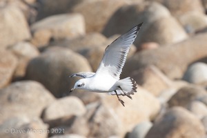 Cornish Trip. September 2014