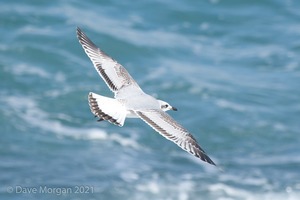 Cornish Trip. September 2014