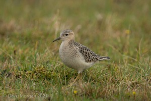 Cornish Trip. September 2017