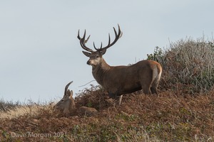 Cornish Trip. September 2017